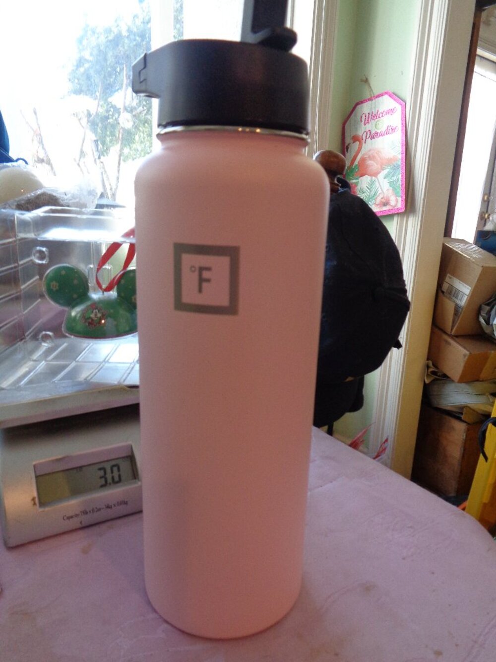 Iron Flask Pink Water Bottle 40 oz Flex Straw *